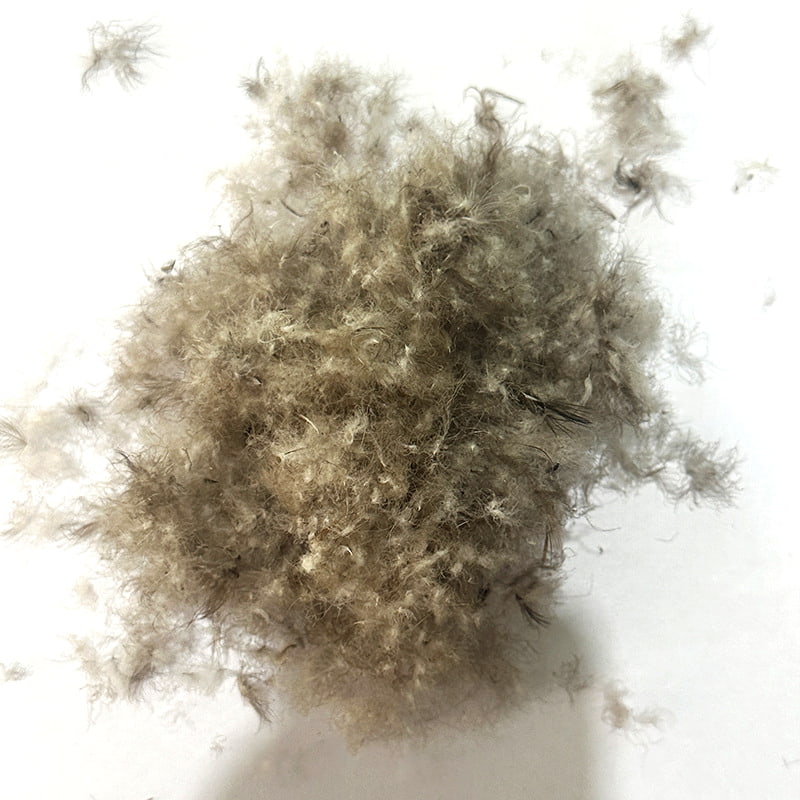 50 % grå andedun 50 % grå andedun