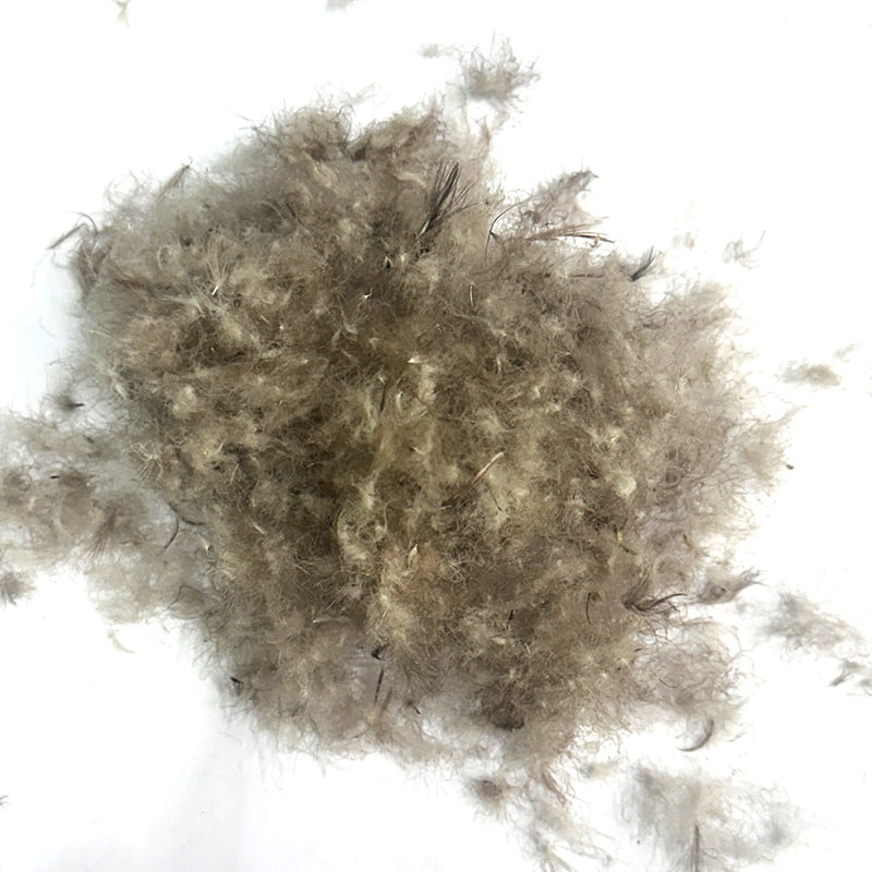 50 % grå andedun 50 % grå andedun