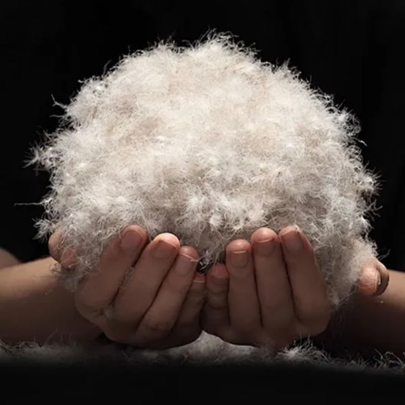 50 % grå andedun 50 % grå andedun