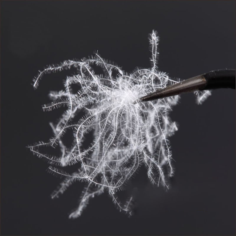 80 % ren hvit andedun