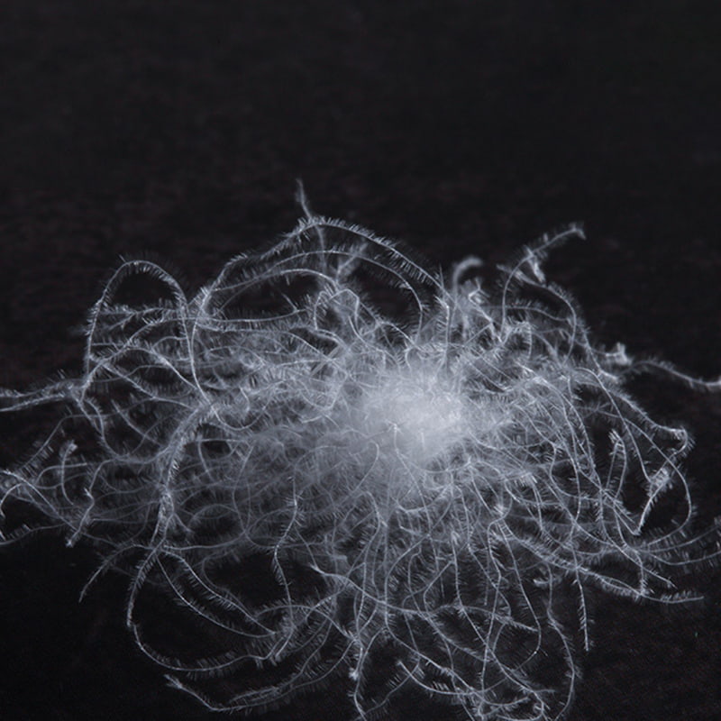 90 % hvit gåsedun 90 % hvit gåsedun