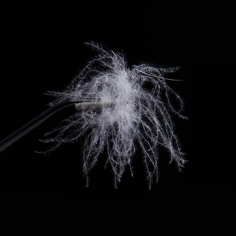 50 % ren hvit andedun