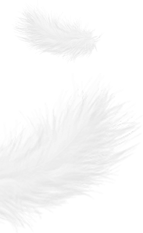 Zhejiang Shengjie Down Products Co., Ltd.